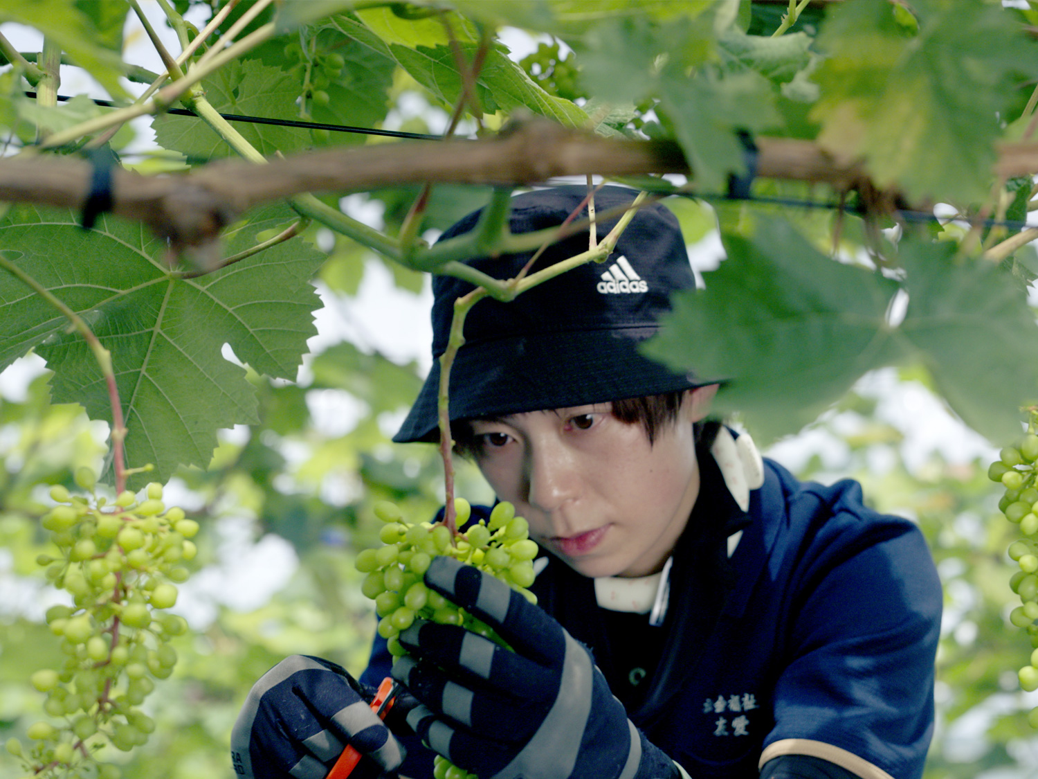 職員さんインタビュー