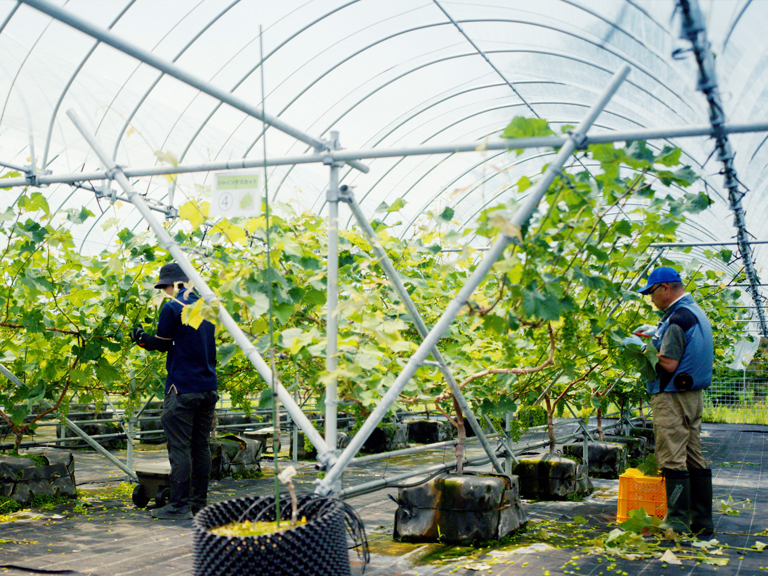 職員さんインタビュー