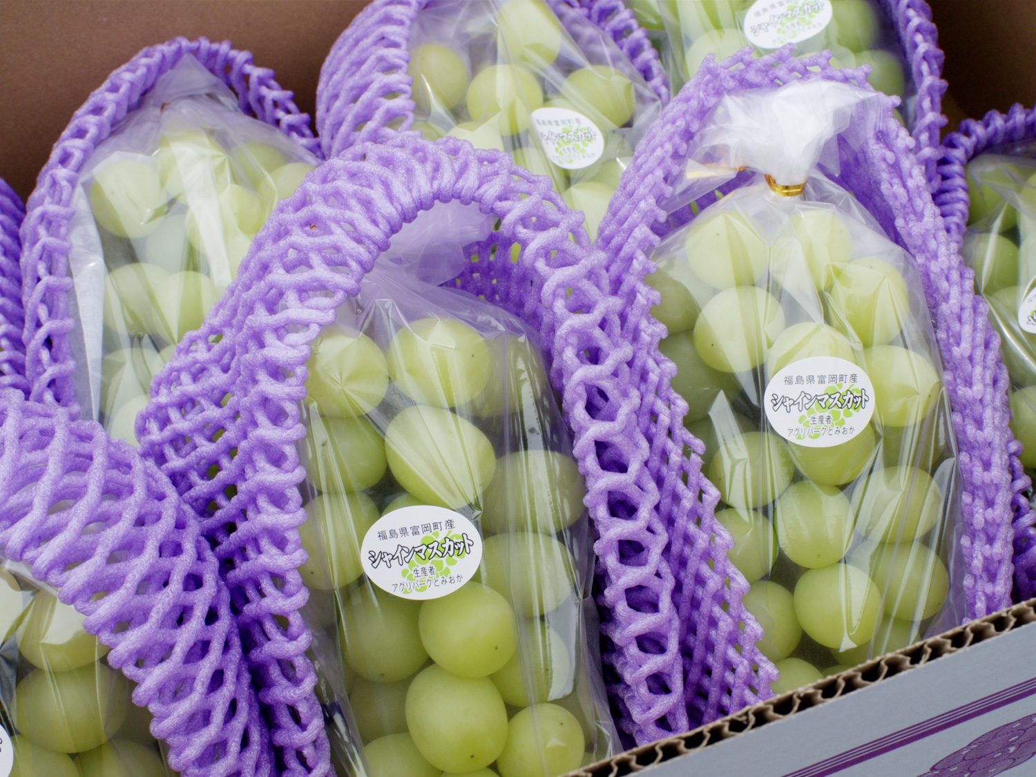 職員さんインタビュー