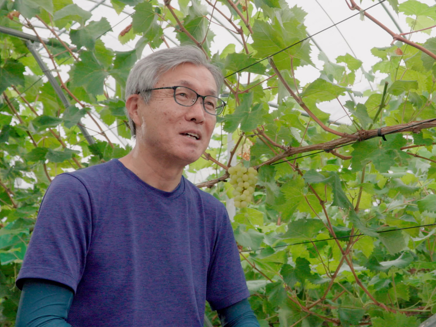 農業と福祉の連携について