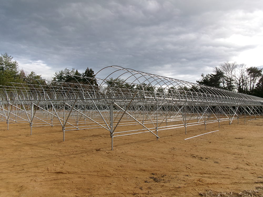 ハウス工事の様子(2024.1)