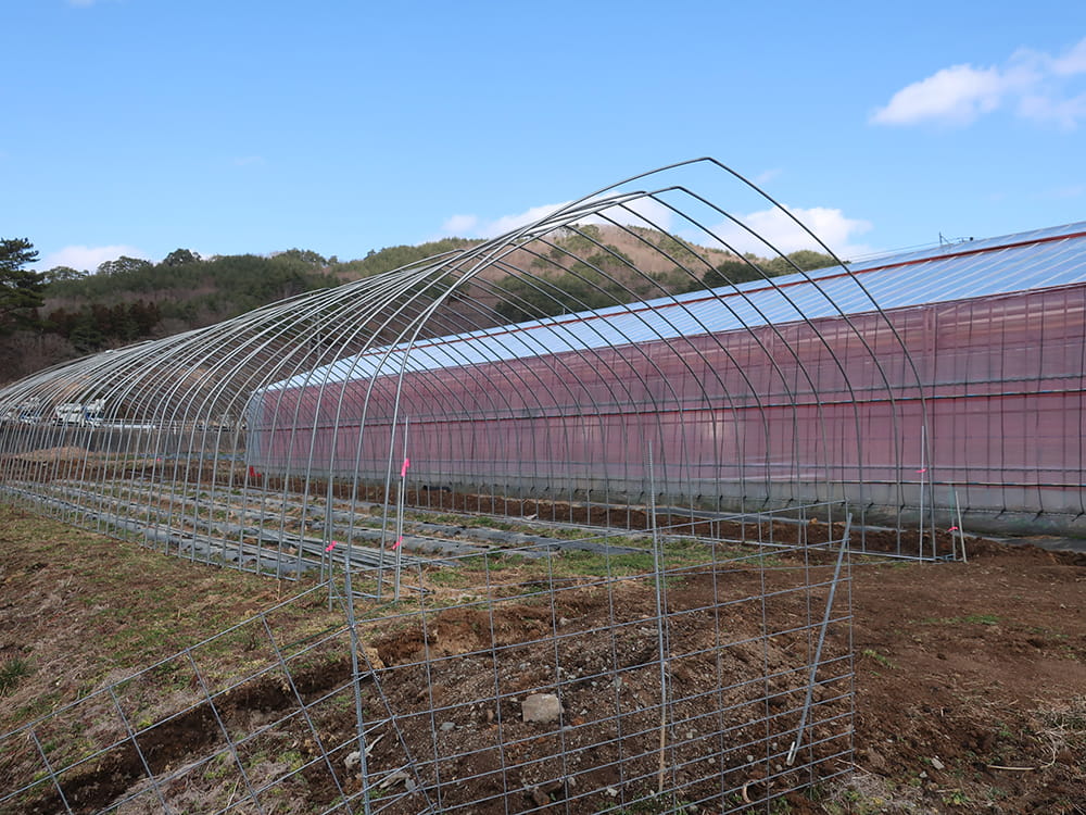 建設中のハウス(2023.3)