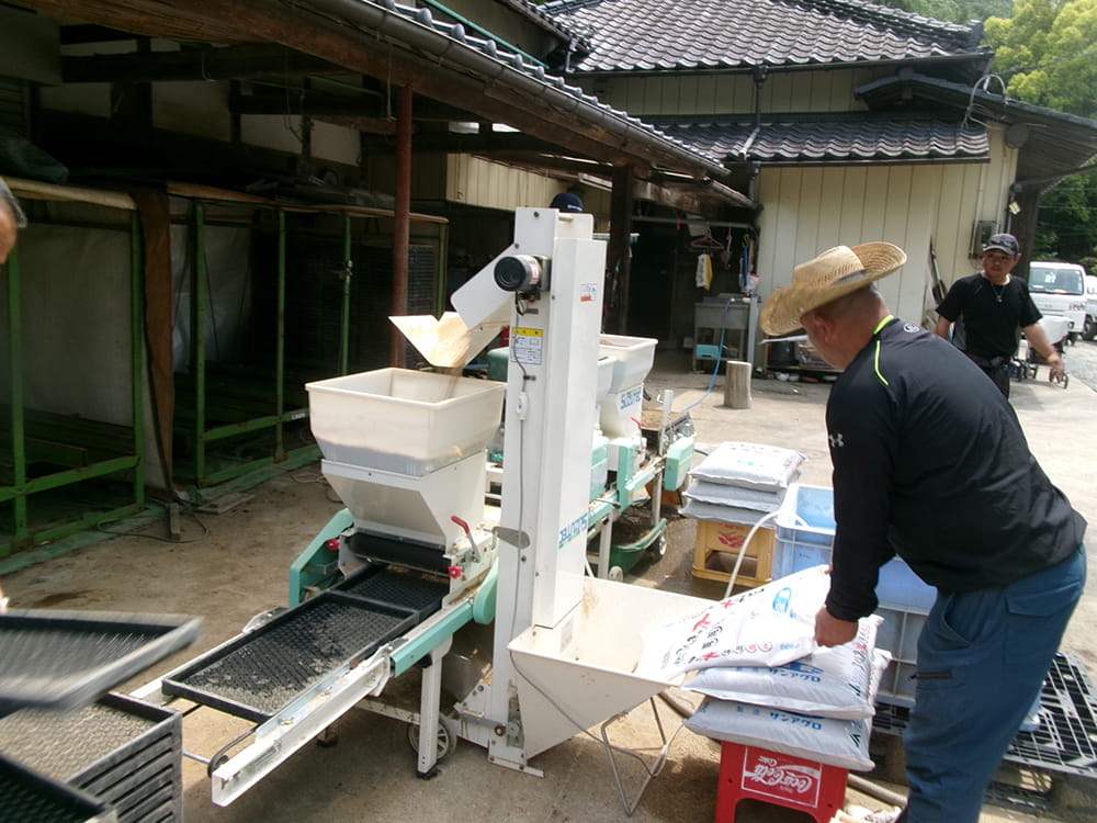 WCS用種子の播種(2025.5)