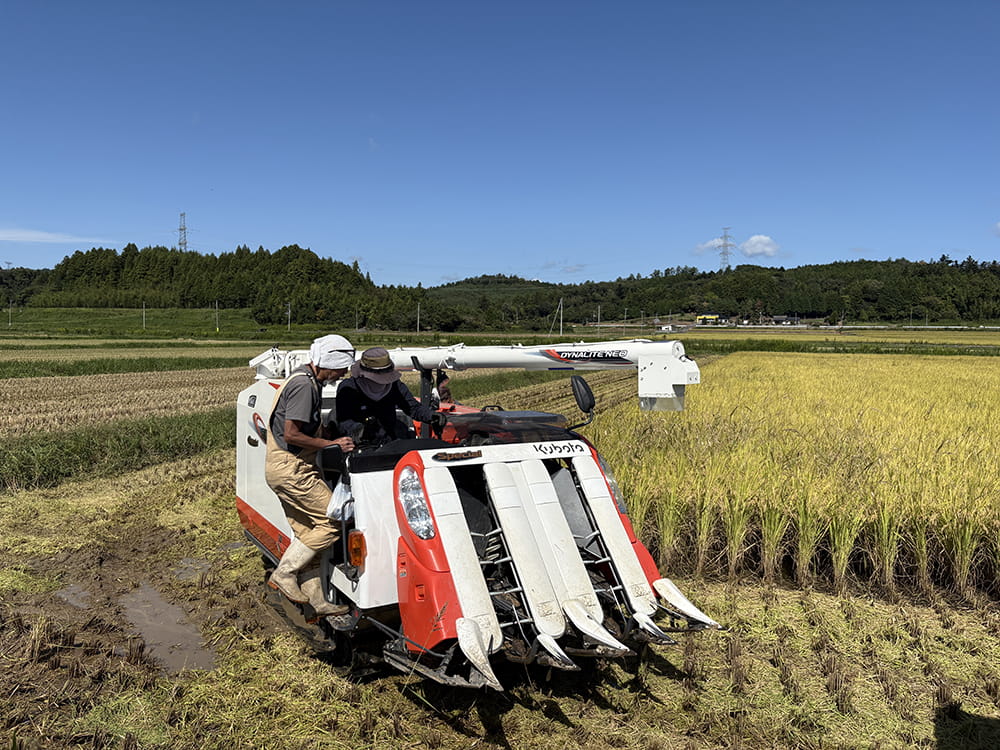 技術継承は現場で行っており、未経験者の育成を得意としています