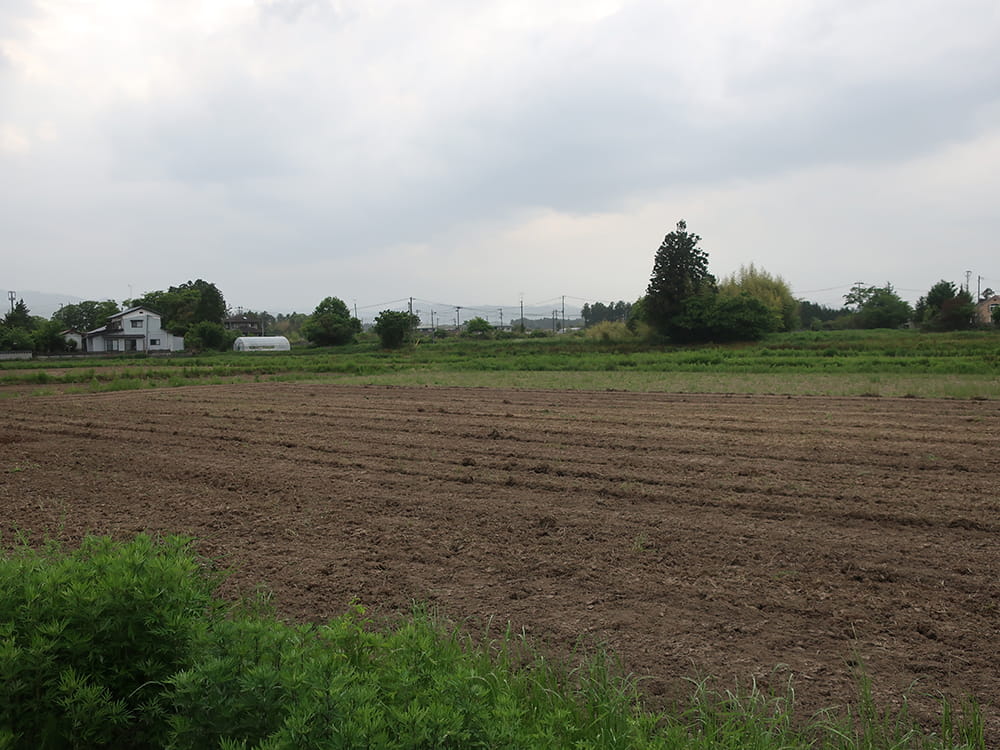 植付前のほ場整備(2023.5)