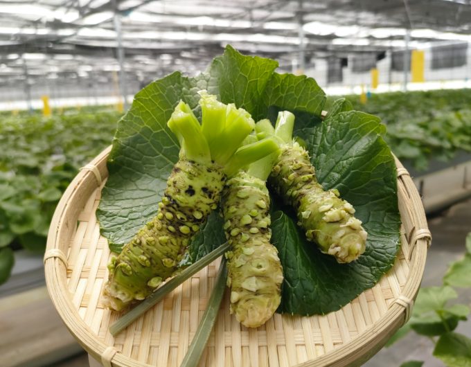 会社のイメージ画像02