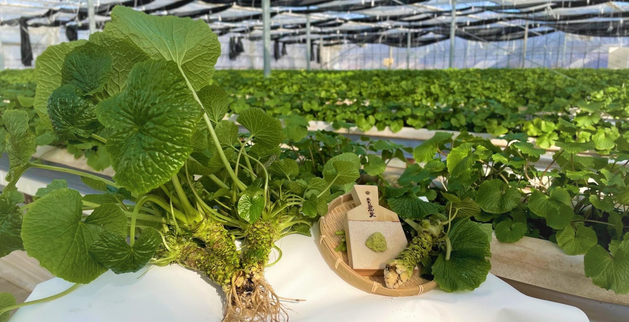 会社のイメージ画像