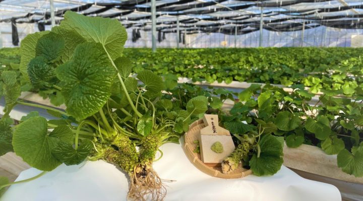 企業サムネイル画像