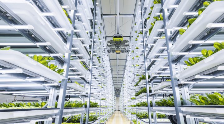 企業サムネイル画像