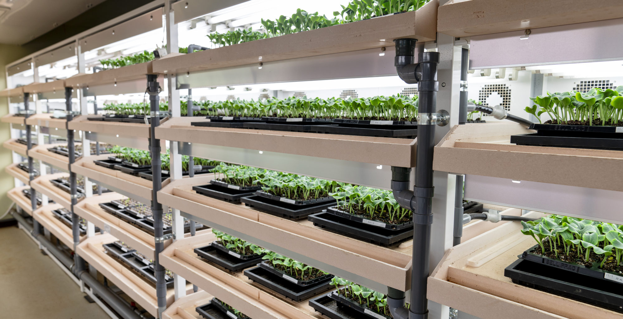 会社のイメージ画像