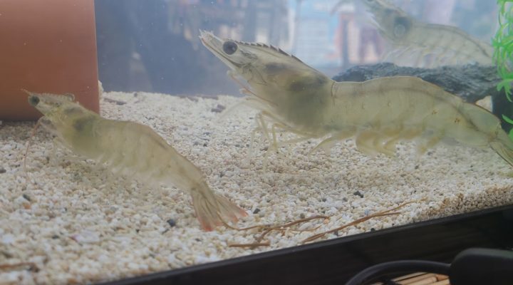 企業サムネイル画像