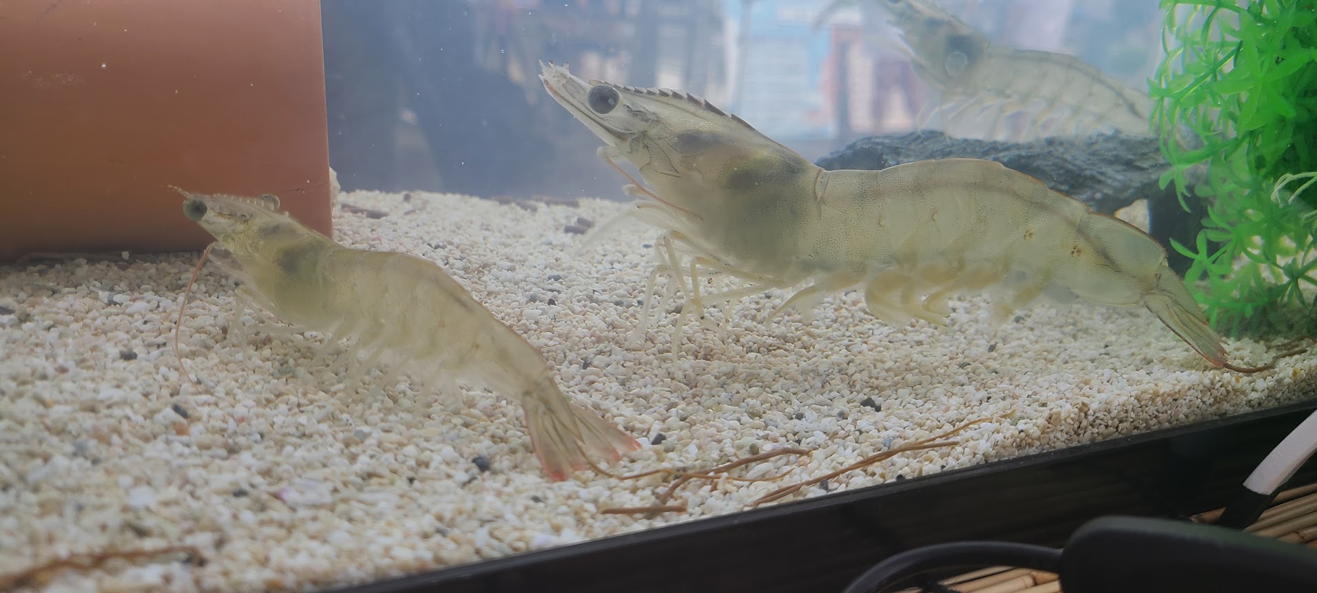 会社のイメージ画像