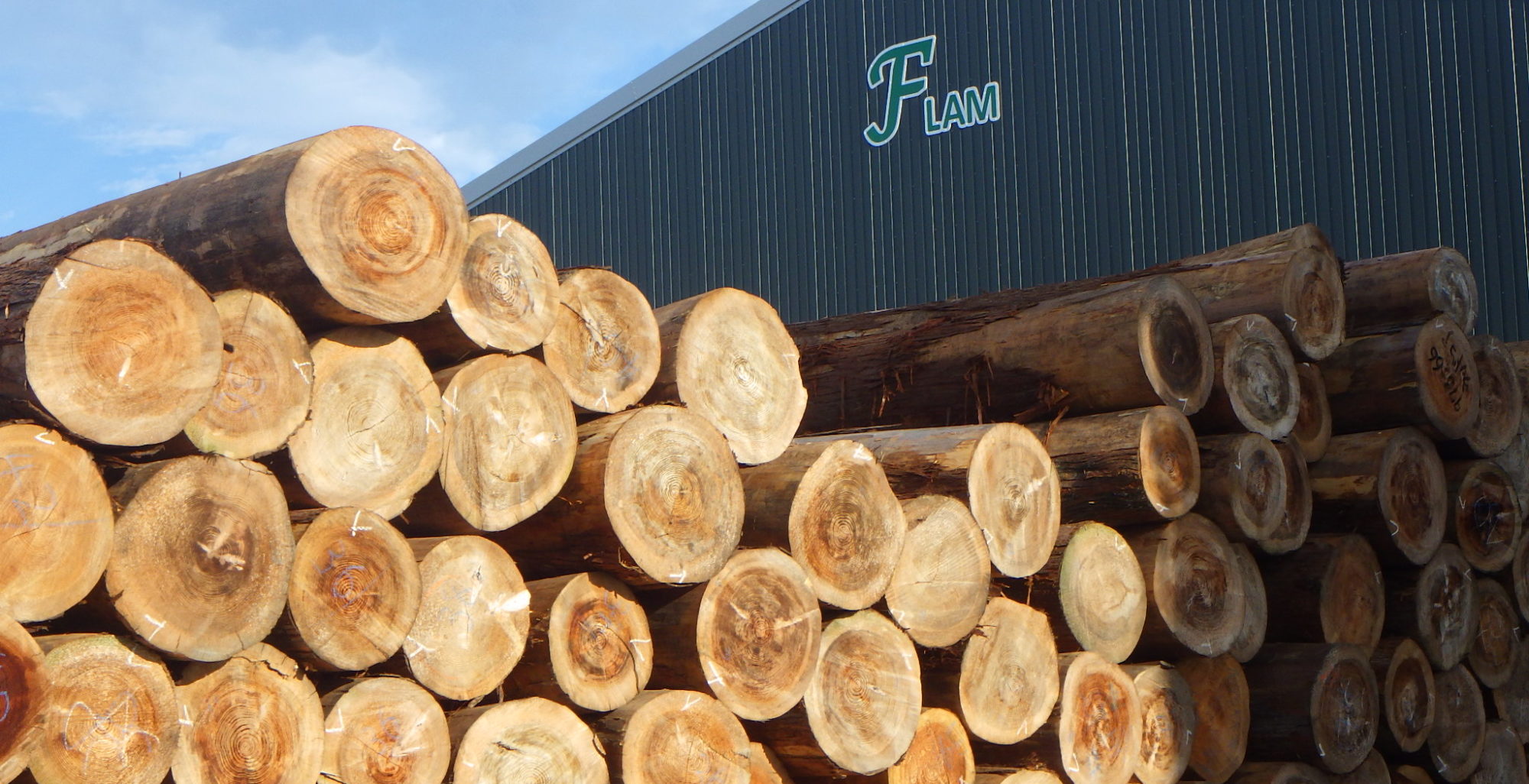 会社のイメージ画像