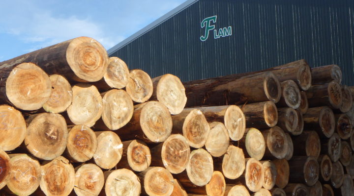 企業サムネイル画像