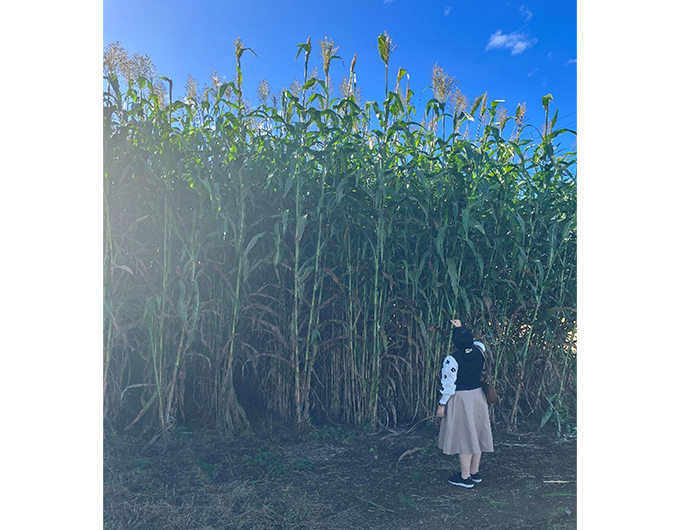 会社のイメージ画像03