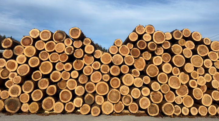 企業サムネイル画像