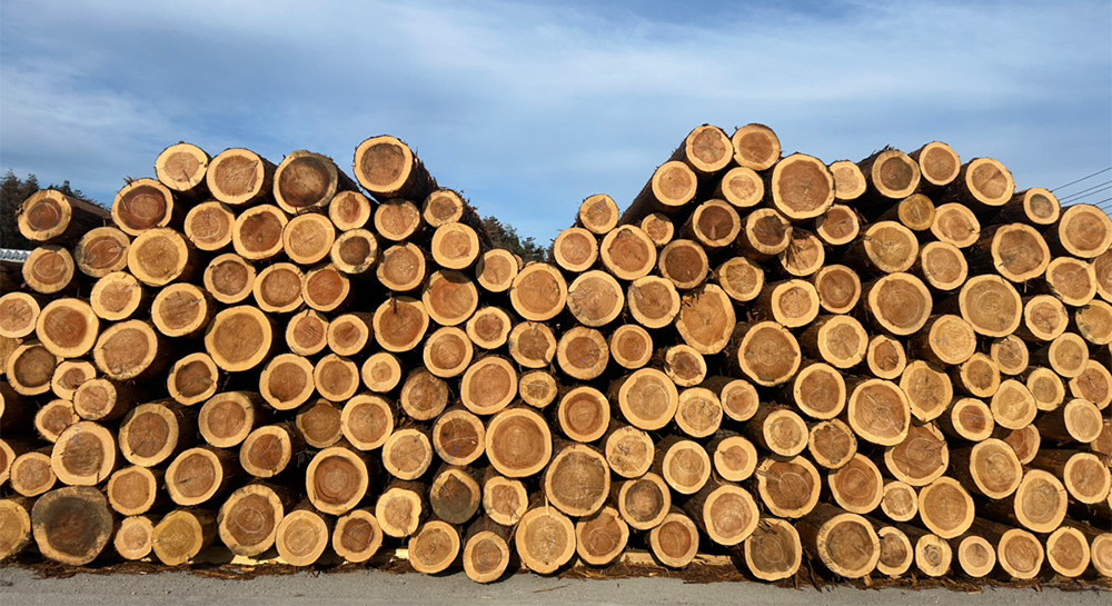 会社のイメージ画像