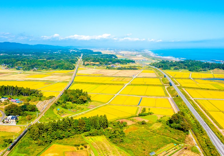 田園と海岸線が広がる福島県沿岸部の風景