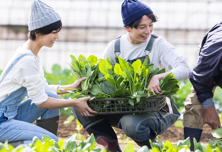 収穫した野菜を運ぶ若者たち