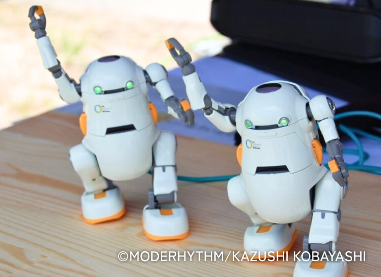 ロボットの実証の様子