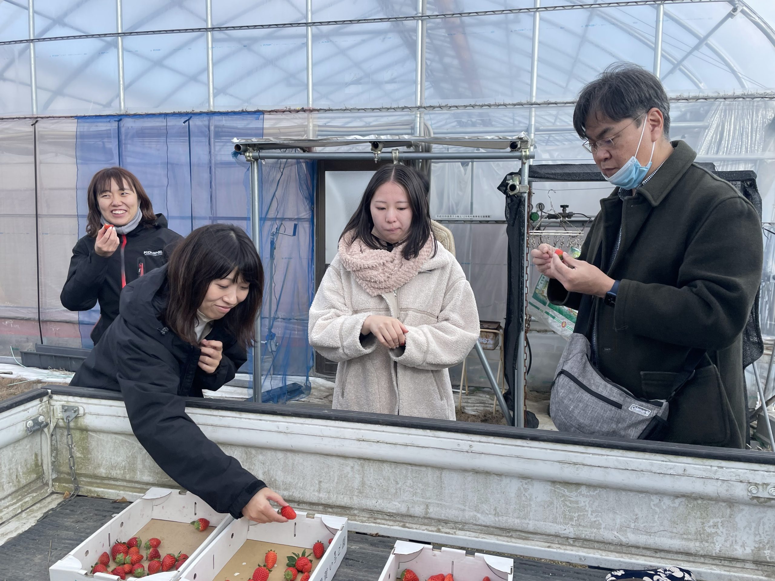 地域農家との交流（伊賀いちご農園）