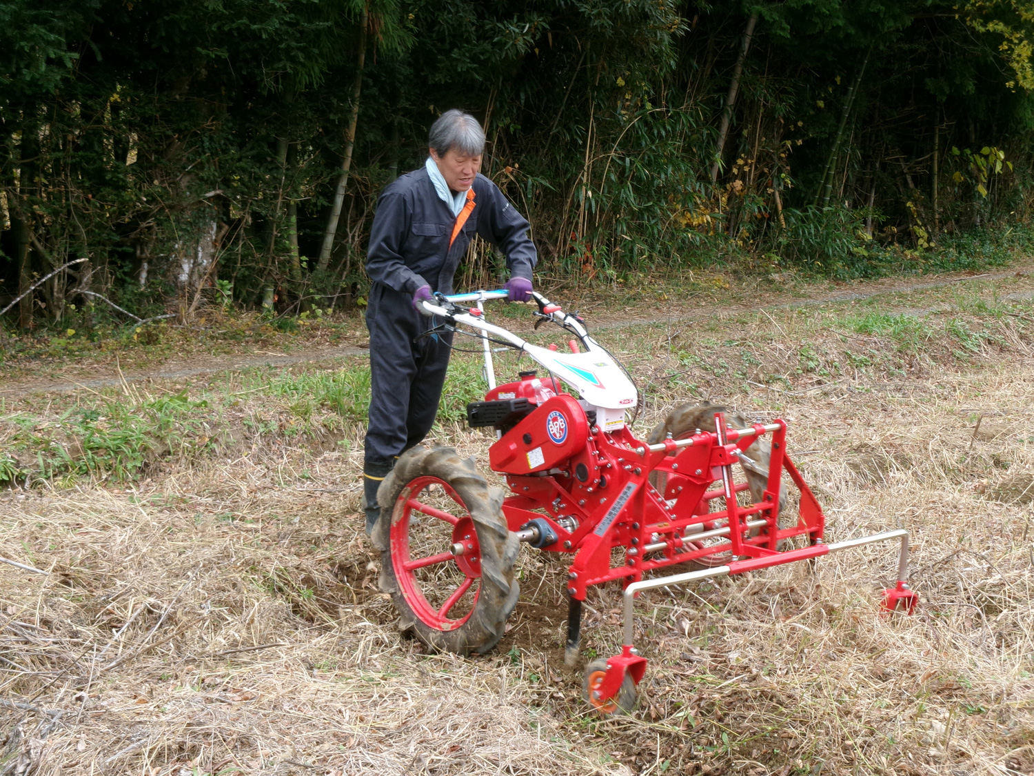 交流人口拡大にも貢献