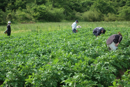 茨城営農支援会