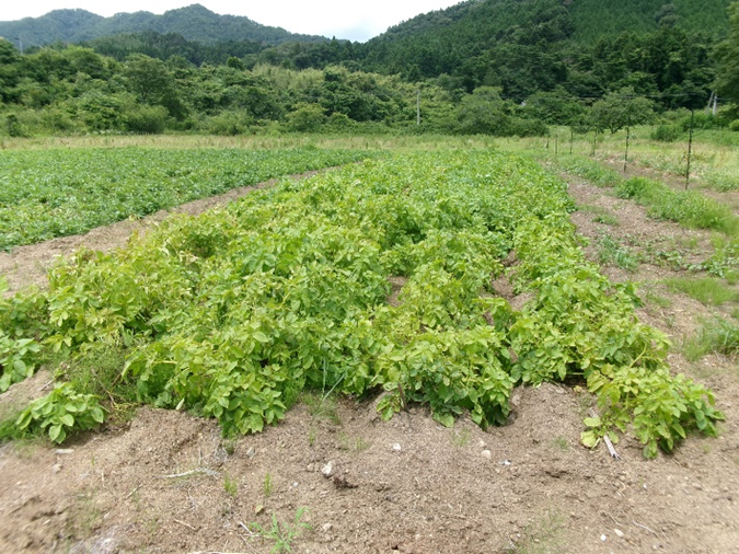 茨城営農支援会